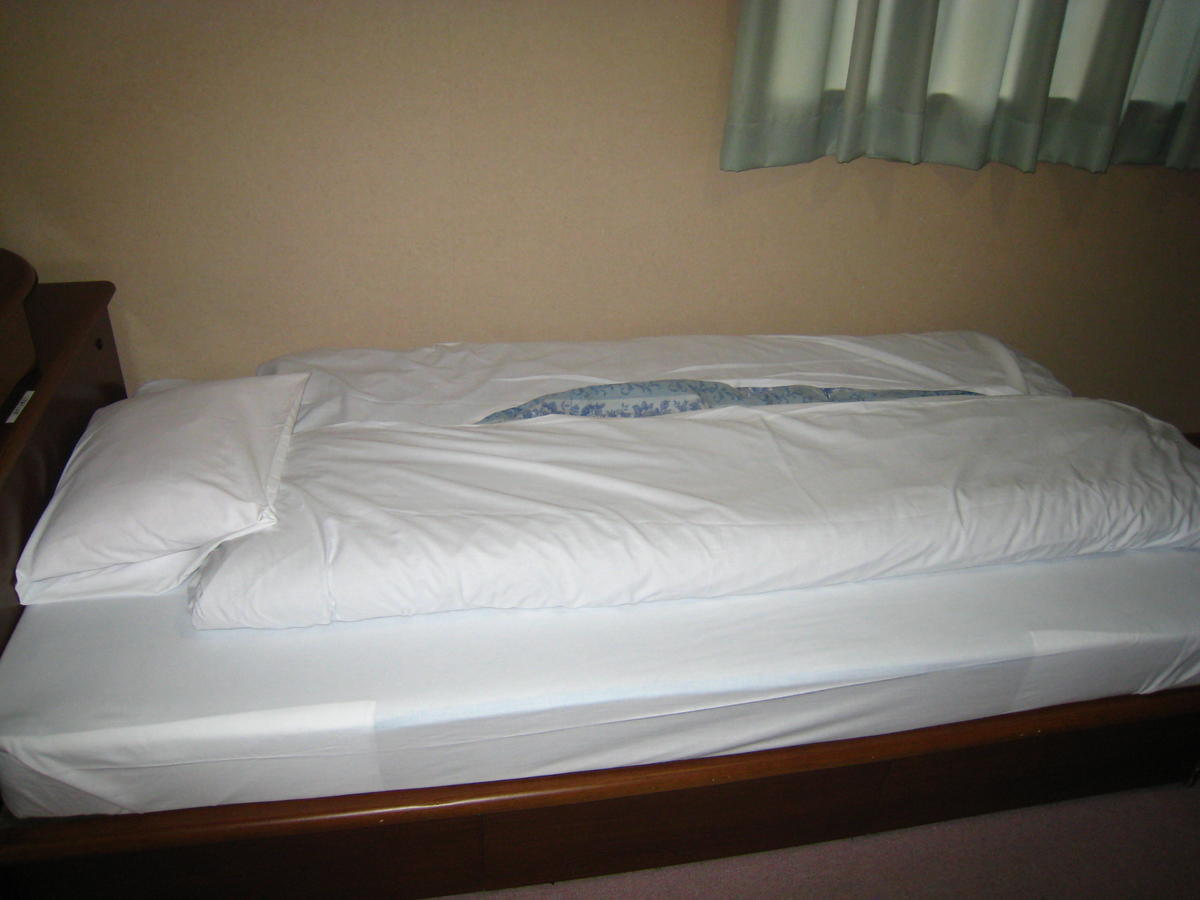 Business Hotel Ojiro Shizuoka Quarto foto
